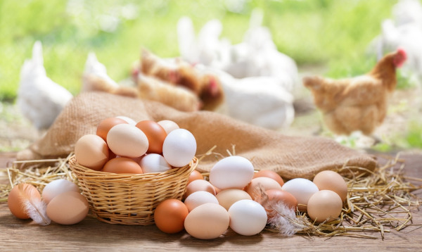 Basket,Of,Colorful,Chicken,Eggs,On,A,Wooden,Table,In